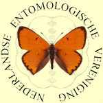 Nederlandse entomologische vereniging