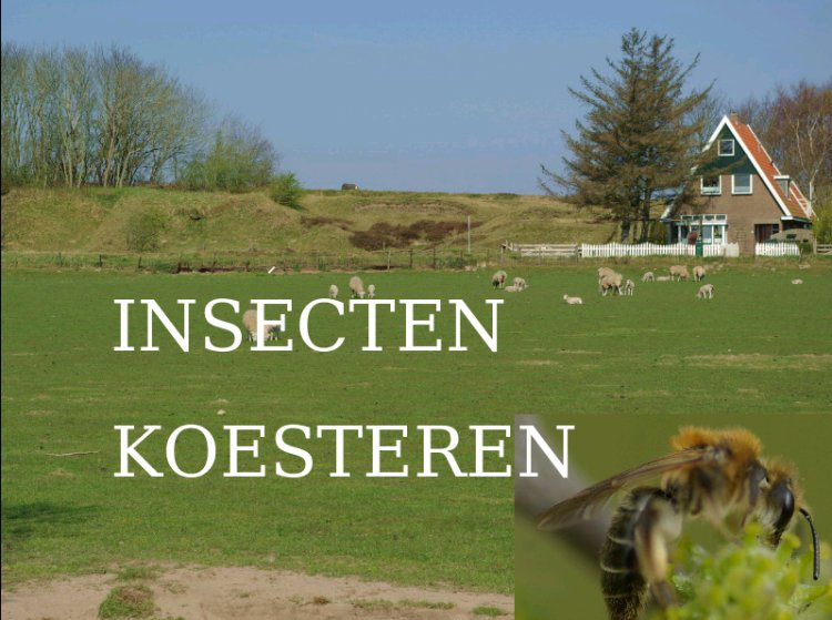 insectreservaat, Texel